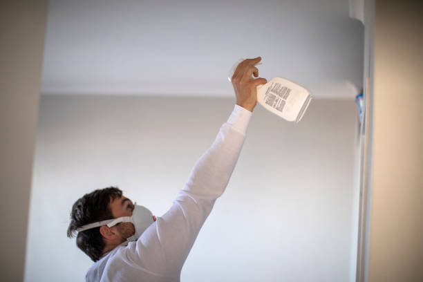 Best Mold Remediation for Specific Building Types in Omaha, TX