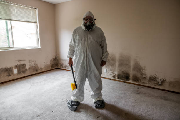 Best Mold Remediation for Specific Building Types in Omaha, TX